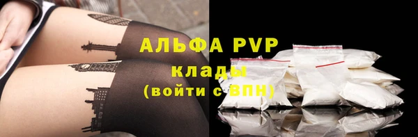 a pvp Алзамай