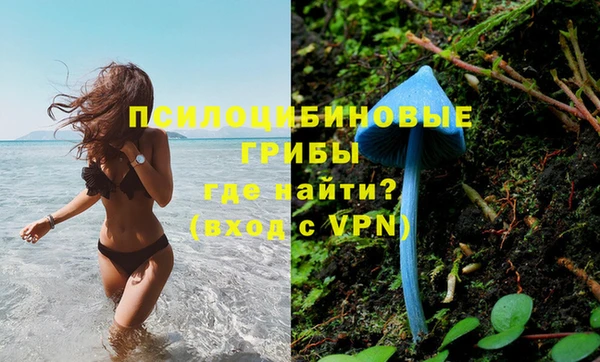 метамфетамин Алексеевка