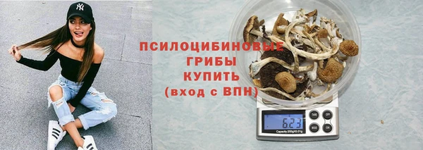 прущие грибы Алексин