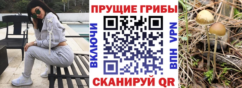 Псилоцибиновые грибы мицелий  купить   Себеж 