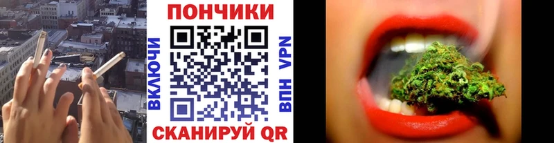 даркнет официальный сайт  продажа наркотиков  Себеж  Шишки марихуана планчик 